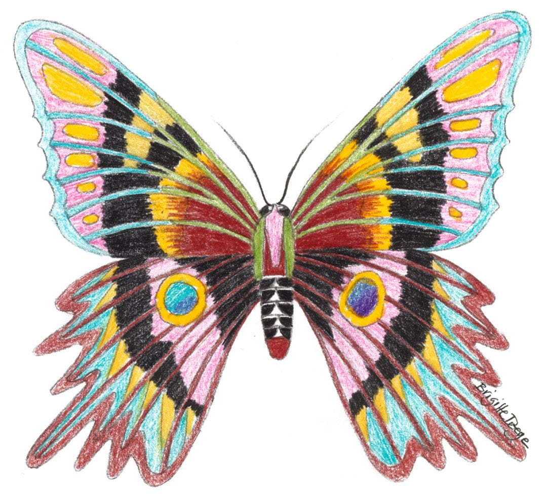 Tutorial para colorear: Cómo dibujar una mariposa