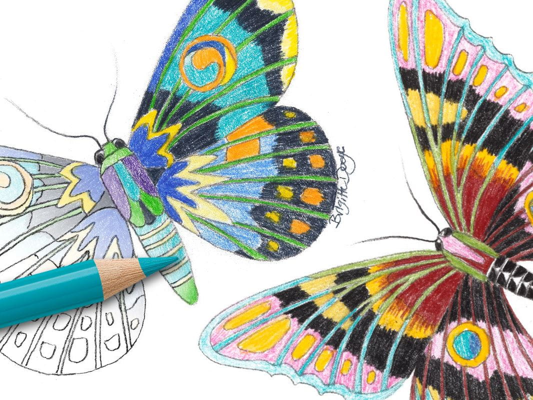 entregar formación Descongelar, descongelar, descongelar heladas Tutorial para colorear: Cómo dibujar una mariposa